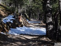 2025-03-30 Mont Pepoiri 034